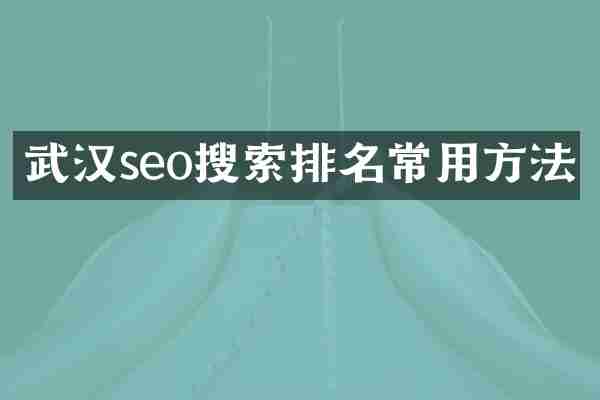 武汉seo搜索排名常用方法