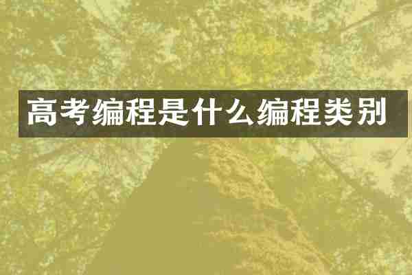 高考编程是什么编程类别