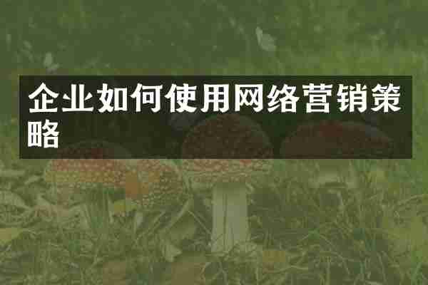 企业如何使用网络营销策略