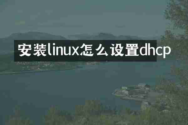 安装linux怎么设置dhcp