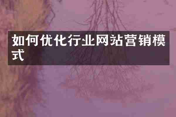 如何优化行业网站营销模式