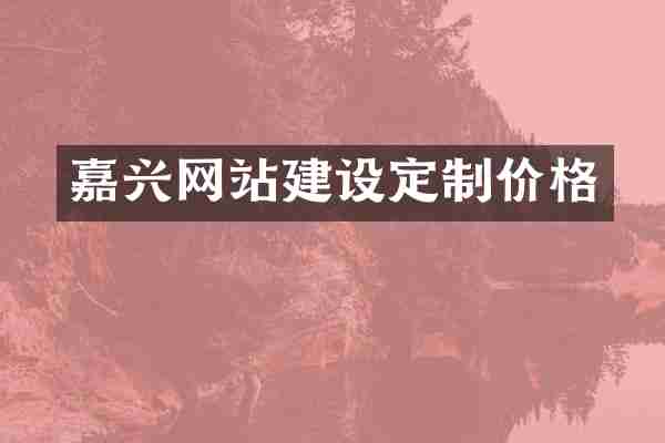 嘉兴网站建设定制价格