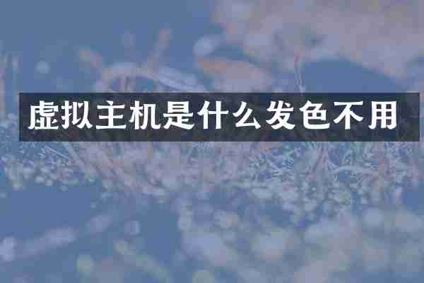 虚拟主机是什么发色不用