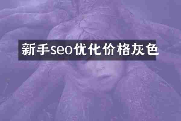 新手seo优化价格灰色