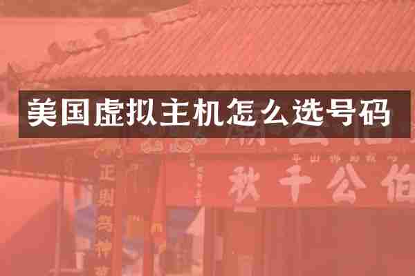 美国虚拟主机怎么选号码