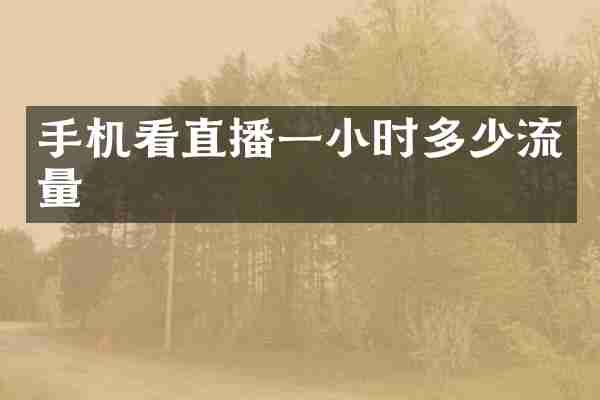 手机看直播一小时多少流量