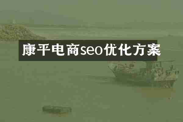 康平电商seo优化方案
