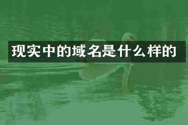 现实中的域名是什么样的