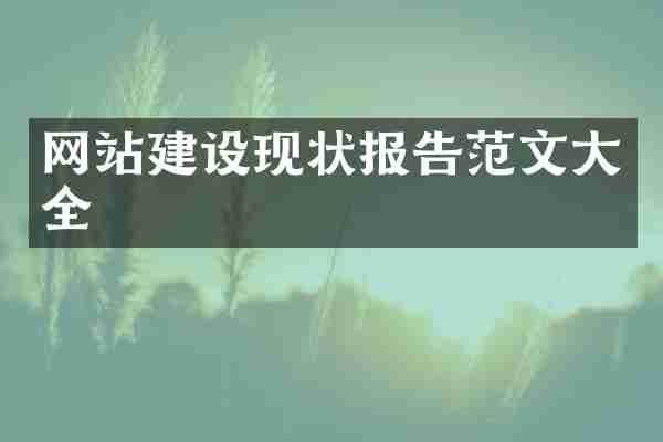 网站建设现状报告范文大全
