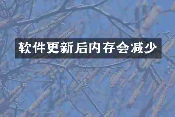 软件更新后内存会减少