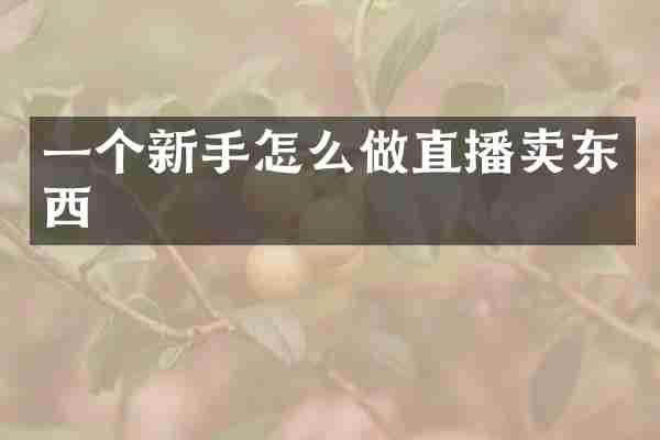 一个新手怎么做直播卖东西