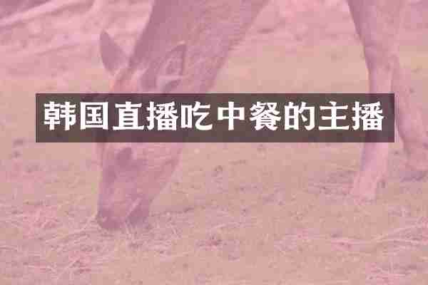 韩国直播吃中餐的主播