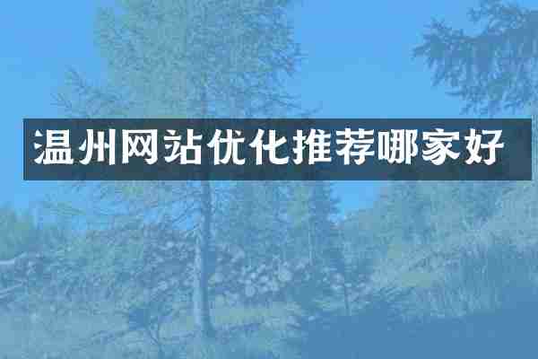 温州网站优化推荐哪家好