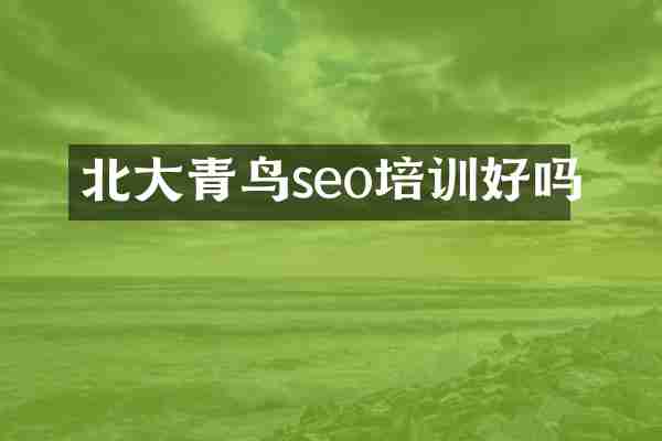 北大青鸟seo培训好吗