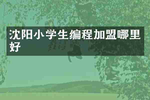 沈阳小学生编程加盟哪里好