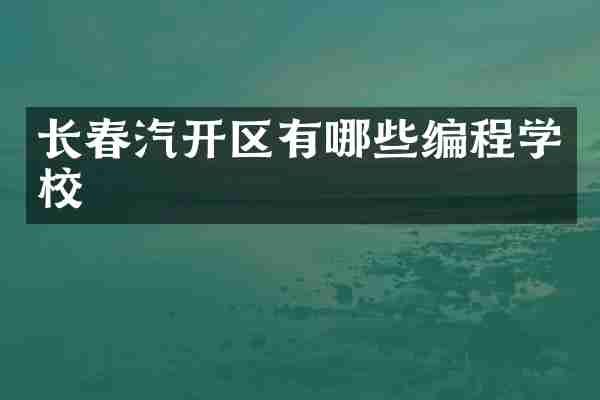 长春汽开区有哪些编程学校