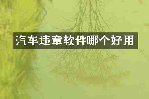 汽车违章软件哪个好用