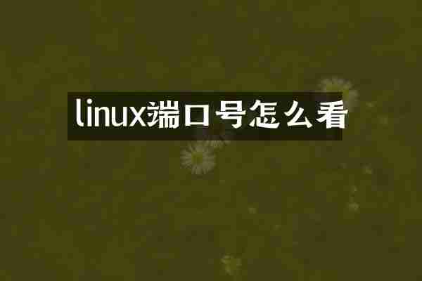 linux端口号怎么看