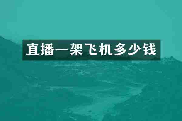 直播一架飞机多少钱