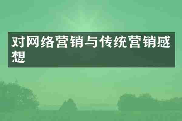 对网络营销与传统营销感想