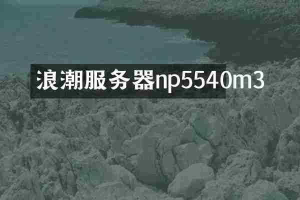 浪潮服务器np5540m3
