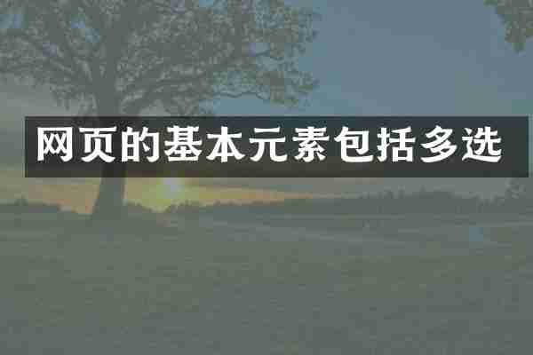 网页的基本元素包括多选