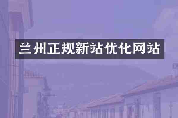 兰州正规新站优化网站