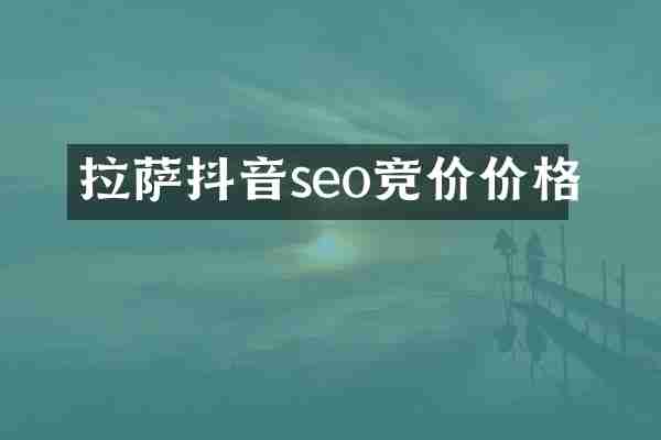 拉萨抖音seo竞价价格