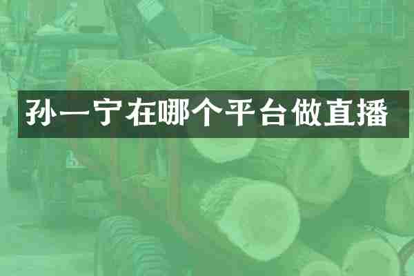 孙一宁在哪个平台做直播