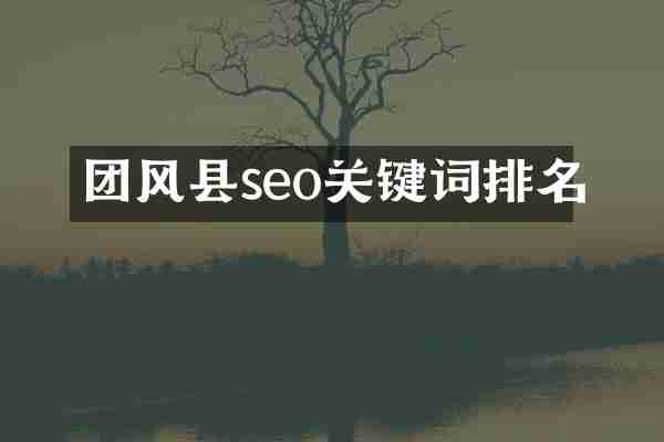 团风县seo关键词排名