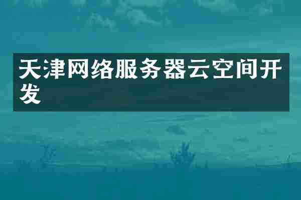 天津网络服务器云空间开发