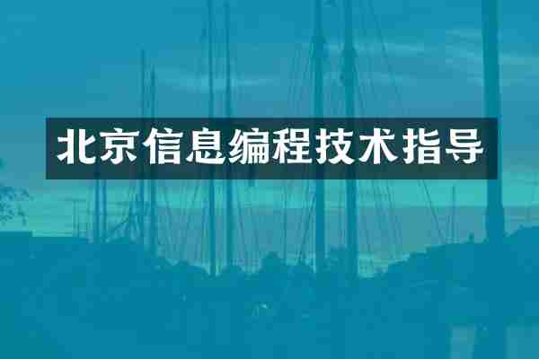 北京信息编程技术指导