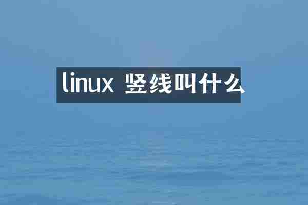 linux 竖线叫什么