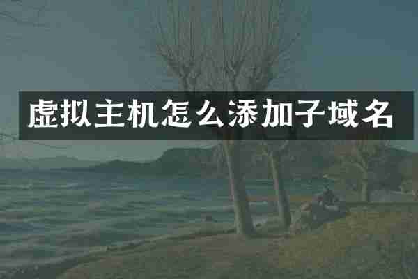 虚拟主机怎么添加子域名