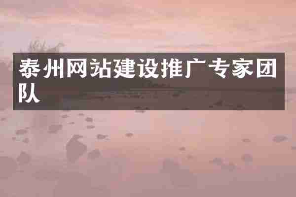 泰州网站建设推广专家团队