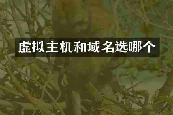 虚拟主机和域名选哪个