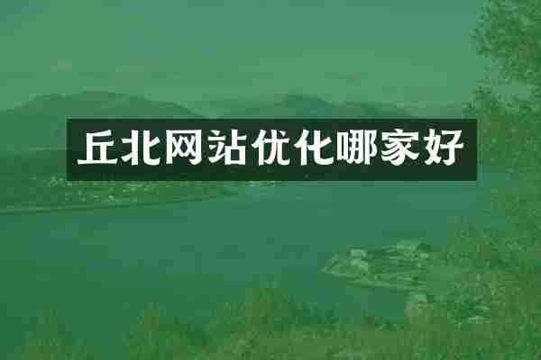 丘北网站优化哪家好