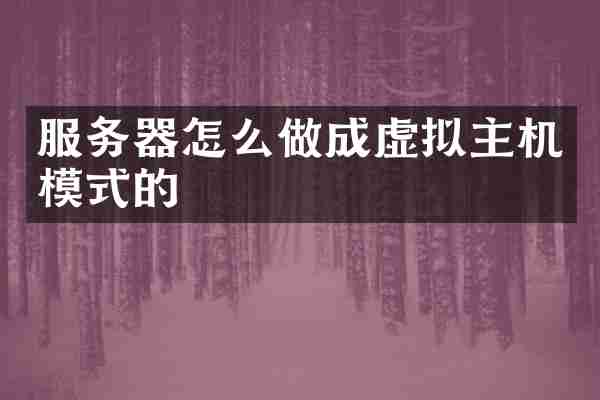 服务器怎么做成虚拟主机模式的