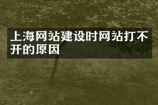 上海网站建设时网站打不开的原因