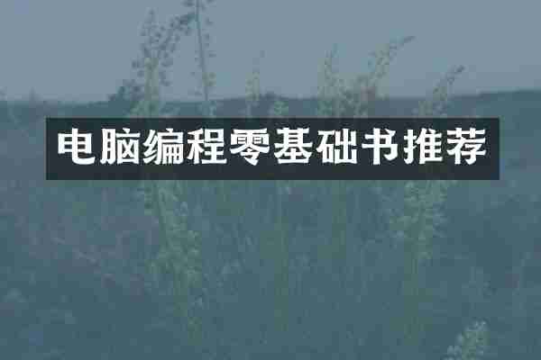 电脑编程零基础书推荐