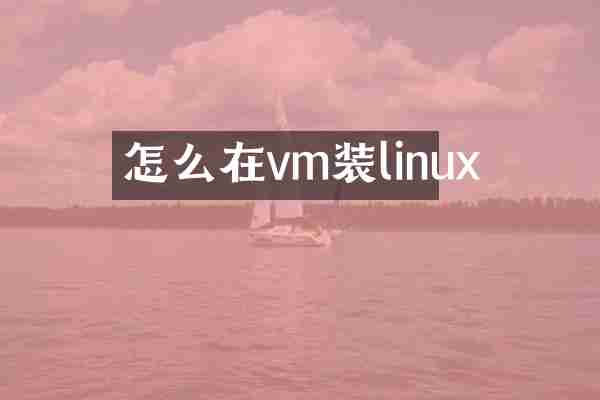怎么在vm装linux