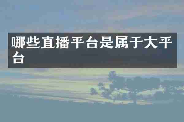 哪些直播平台是属于大平台