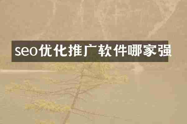 seo优化推广软件哪家强