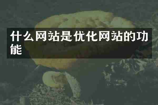 什么网站是优化网站的功能