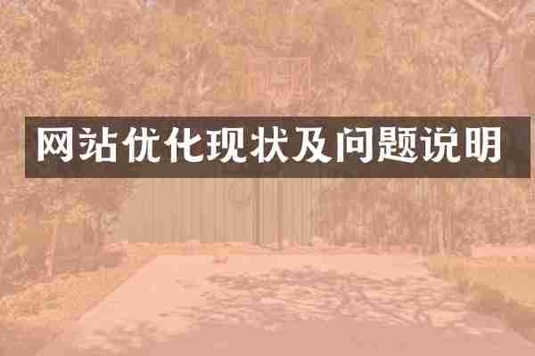 网站优化现状及问题说明