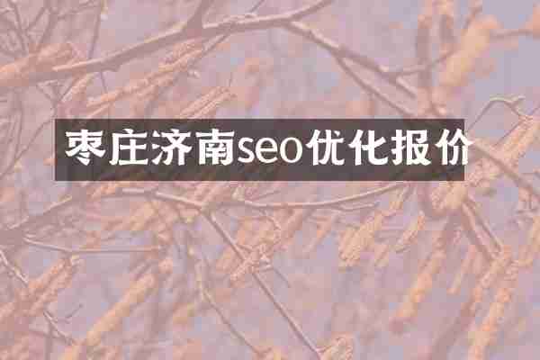 枣庄济南seo优化报价