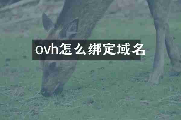 ovh怎么绑定域名