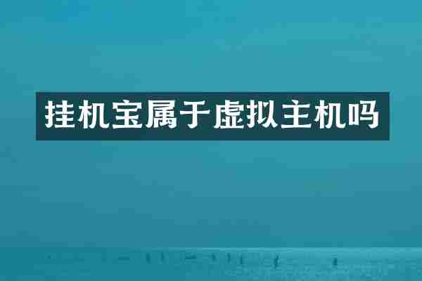 挂机宝属于虚拟主机吗