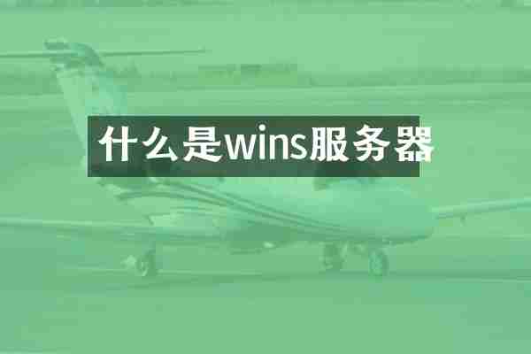什么是wins服务器