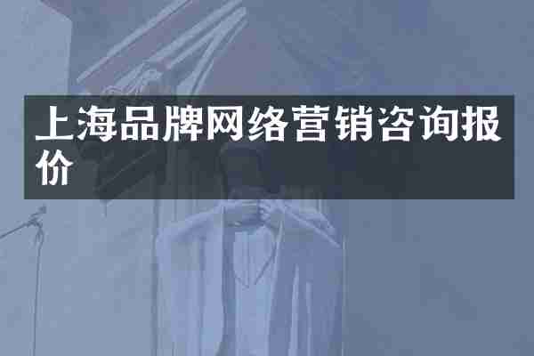 上海品牌网络营销咨询报价